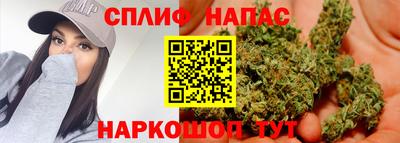 каннабис Славгород