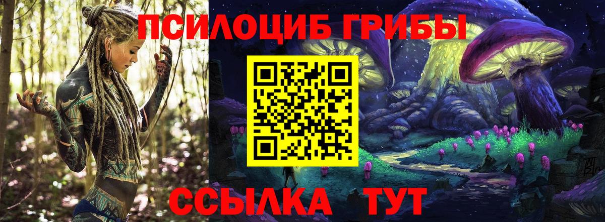 Новодвинск  Псилоцибиновые грибы мухоморы  Вход с VPN 