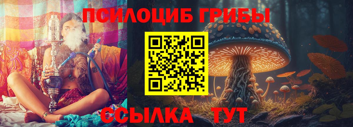 Галлюциногенные грибы MAGIC MUSHROOMS Новодвинск
